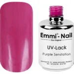 Gel Polish - Purple Sensation L055